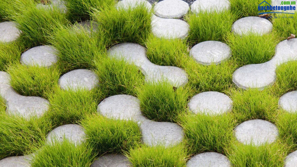 Thiết kế trồng cỏ đẹp mắt trên nền đất đá